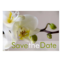 White Orchid • Save the Date Mini Card Business Cards