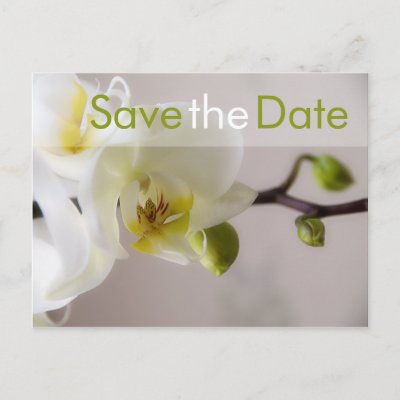 White Orchid Save the Date Postcard The White Orchid wedding series 
