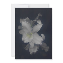 White Orchids I Invites