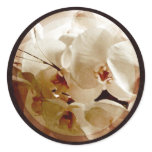 white orchids on red 1 envelope seals stickers