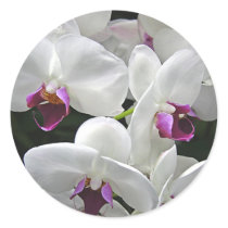 White Orchids Round Sticker