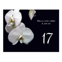 White Orchids Wedding Table Card Postca Post Cards