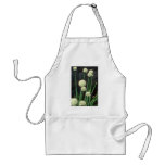 white Ornamental Garlic, (Allium Grande) flowers aprons
