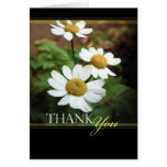 White Oxeye Daisies Floral Thank You Card