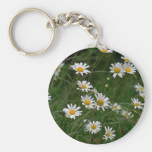 white Oxeye daisy flowers Key Chains