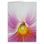White Pansy Greeting Card