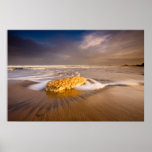 White Park Bay Sea Swirl Print