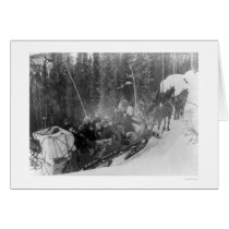 White Pass Alaska Sled Train 1903 Card
