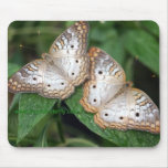 White Peacock Butterflies Mouse Pad mousepads