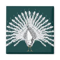 White Peacock Magnets