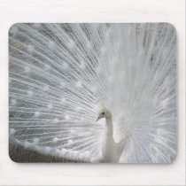 White Peacock Mouse Pad