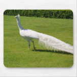 White Peacock Mousepad
