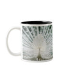 White Peacock Mug