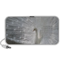 White Peacock Speakers