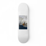 White Pekin Duck with head tucked under picture Custom Skateboard