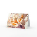 White Peony Fine Art Watercolor Greeting Card