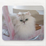White Persian Cat on a Pink Chair Mousepads