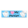 White Persian Cat w/ Odd Eyes