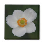 white petals refrigerator magnet