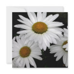 White Petals Square Card invitations