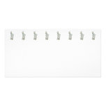 White Phalaenopsis Orchids Photo Greeting Card