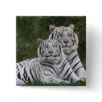 White phase, Bengal Tiger, Tigris Buttons