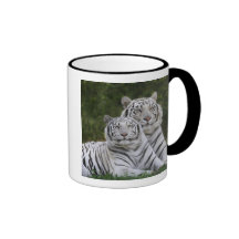 White phase, Bengal Tiger, Tigris Coffee Mug
