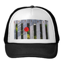 White picket fence red rose hats