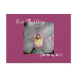 White Pink Orchid Save The Date Postcard