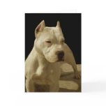 White pitbull greeting card