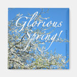 WHITE PLUM BLOSSOMS FRIDGE MAGNET