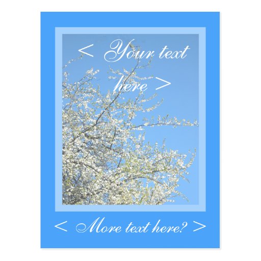 WHITE PLUM BLOSSOMS POST CARD