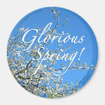 WHITE PLUM BLOSSOMS REFRIGERATOR MAGNETS