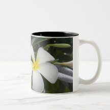 White Plumeria Mug