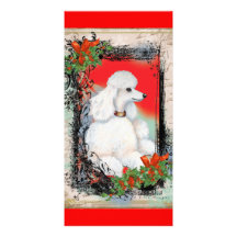 White Poodle Christmas Vintage Style Card Personalised Photo Card