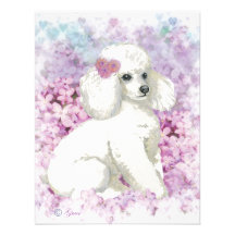 White Poodle in the Lilacs Art and Gifts Custom Invitation