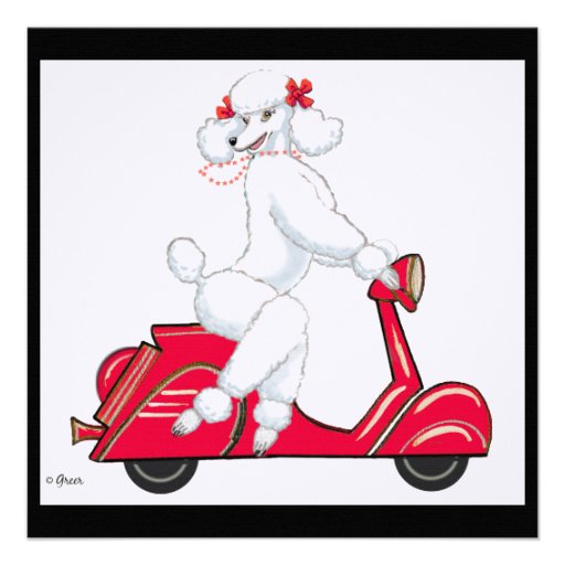 Scooter Birthday Cards, Photo Card Templates, Invitations & More