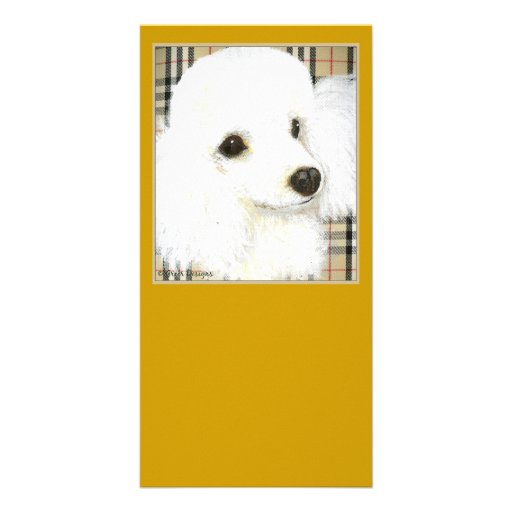 White Poodle Portrait Burberry Art Photo Card