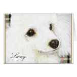 White Poodle Portrait Greeting Note Cards