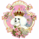 White Poodle Princess n Pink Roses