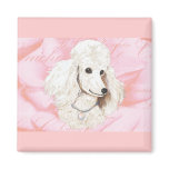 White Poodle Rose Petals Pink Magnets