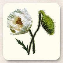 White Poppy Drink Coaster