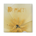 White Poppy magnets