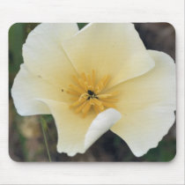 White Poppy Mousepads