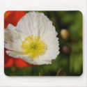 White Poppy Mousepad
