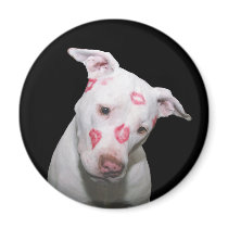 White Puppy Dog Love, Sealed with Lipstick Kisses
