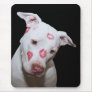 White Puppy Dog Love, Sealed with Lipstick Kisses