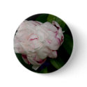 White & Purple Peony | Weisse & Lila Pfingstrose buttons