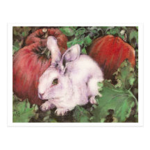 White Rabbit in the Pumpkin Patch Post Cards