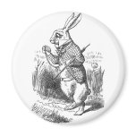 White Rabbit magnets